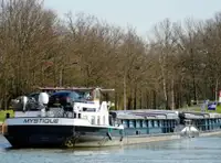 Statek transportowy ładunków sypkich na sprzedaż