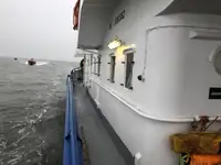 Wielozadaniowy na sprzedaż