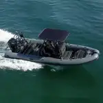 Sztywna ponton na sprzedaż