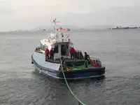 Holownik na sprzedaż