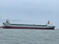 Kontenerowiec na sprzedaż