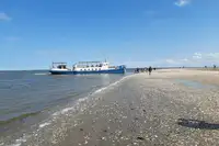 Barka na sprzedaż