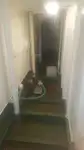 Statek Ro-Ro na sprzedaż