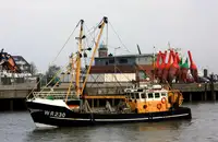 Trawler na sprzedaż