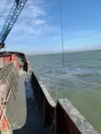 Dredger na sprzedaż