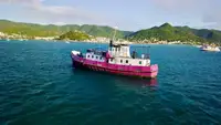 General Cargo/Multi-purpose na sprzedaż