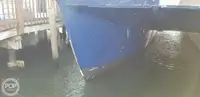 Katamaran na sprzedaż