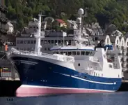 Purse seiner na sprzedaż