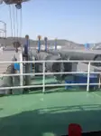 Dredger na sprzedaż