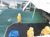 Trawler na sprzedaż