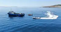 Holownik na sprzedaż