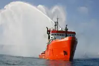 Holownik na sprzedaż