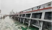 Statek transportowy ładunków sypkich na sprzedaż