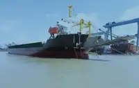 Statek transportowy ładunków sypkich na sprzedaż