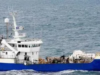 Trawler na sprzedaż