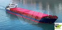 Statek transportowy ładunków sypkich na sprzedaż