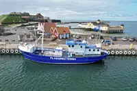 Trawler na sprzedaż