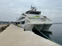 Katamaran na sprzedaż