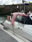 Statek pilotowy na sprzedaż