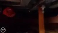 Trawler na sprzedaż