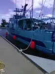 Trawler na sprzedaż