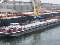 Statek transportowy ładunków sypkich na sprzedaż