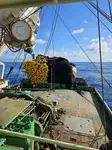 Purse seiner na sprzedaż