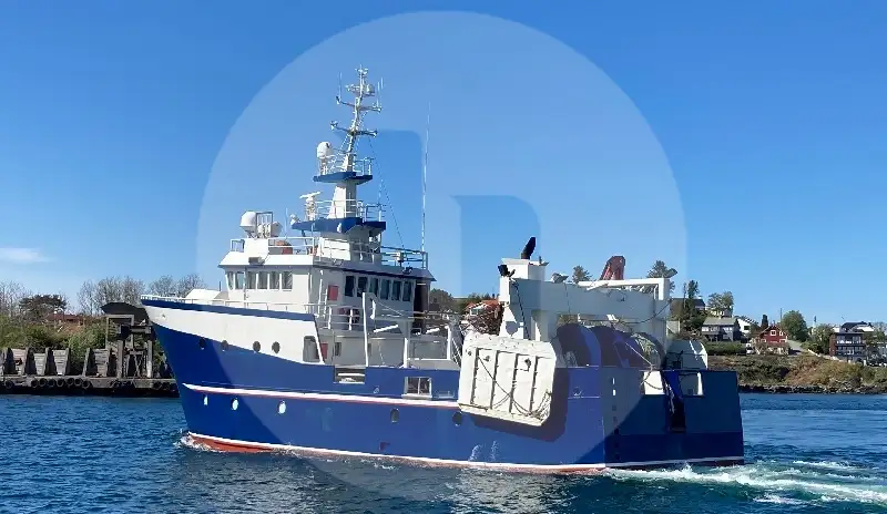 Trawler denny na sprzedaż