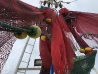 Trawler na sprzedaż