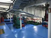 Ro-Ro ship na sprzedaż