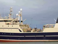 Trawler na sprzedaż