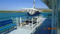 Ro-Ro ship na sprzedaż
