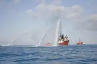 Holownik na sprzedaż