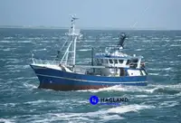 Trawler denny na sprzedaż