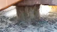 Dredger na sprzedaż