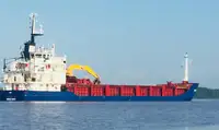 Statek transportowy ładunków sypkich na sprzedaż