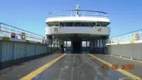 Ro-Ro ship na sprzedaż