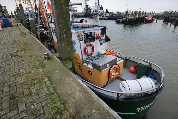 Trawler na sprzedaż