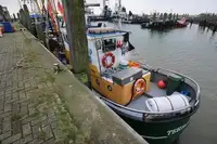 Trawler na sprzedaż