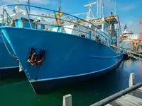 Trawler na sprzedaż