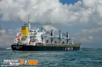 Statek transportowy ładunków sypkich na sprzedaż