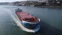 Statek transportowy ładunków sypkich na sprzedaż