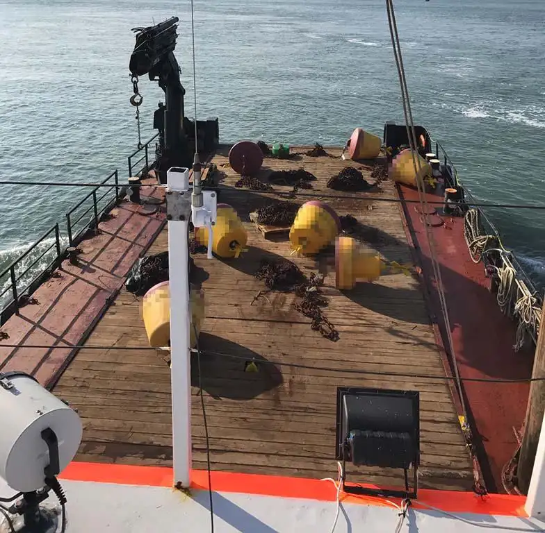 Dredger na sprzedaż