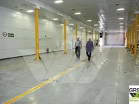 Statek RoPax na sprzedaż