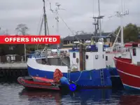 Trawler denny na sprzedaż