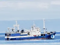 Trawler na sprzedaż
