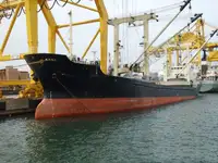 Statek transportowy ładunków sypkich na sprzedaż