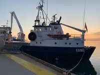 Statek transportowy ładunków sypkich na sprzedaż