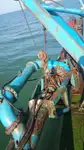 Dredger na sprzedaż