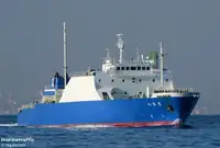 Statek transportowy ładunków sypkich na sprzedaż